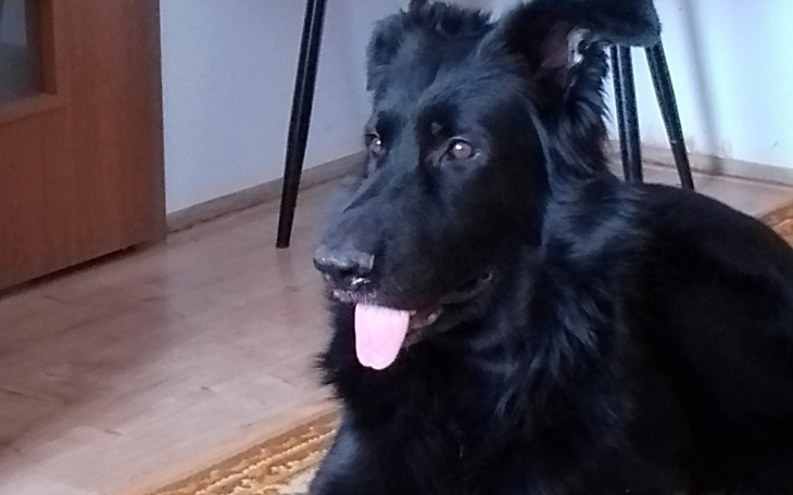 Zbiórka Operacja usunięcia ślinianki - zdjęcie główne