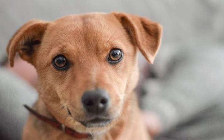 Zbiórka NIKT SiĘ NIE ZLITOWAŁ - zdjęcie główne