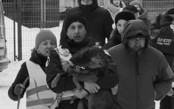 Grupa ludzi niesie psa w zimowej scenerii, widać troskę i zaangażowanie.