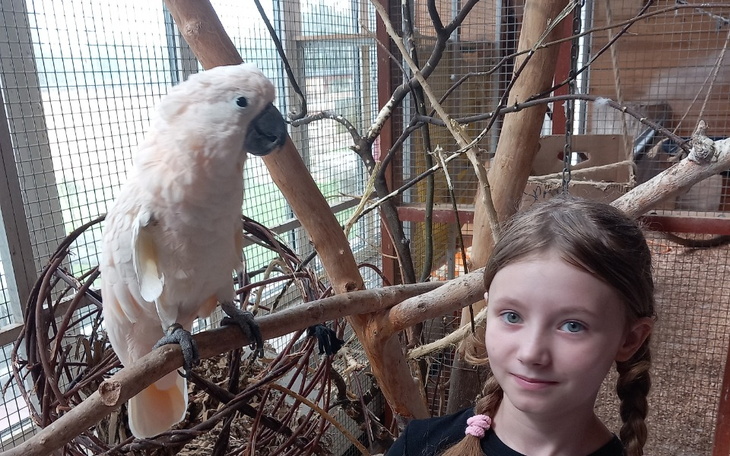 Zbiórka Sprzęt rehabilitacyjny dla Magdy - zdjęcie główne