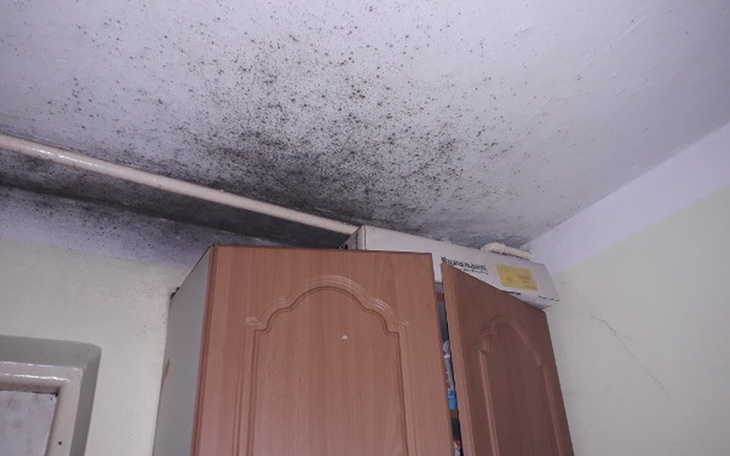 Zbiórka Remoncik mieszkania (walka z gr) - zdjęcie główne