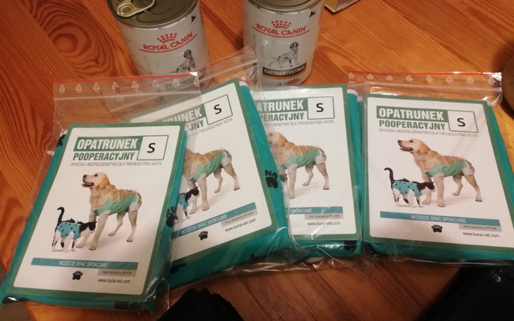 Zbiórka Ubranka dla kociaków - zdjęcie główne