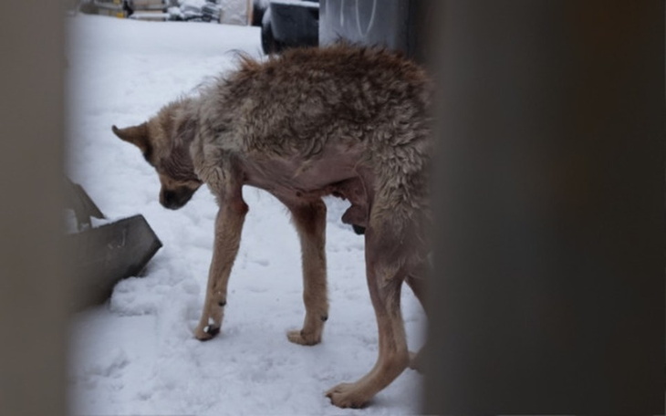 Zbiórka Łysy i chory - pilnował złomu... - zdjęcie główne