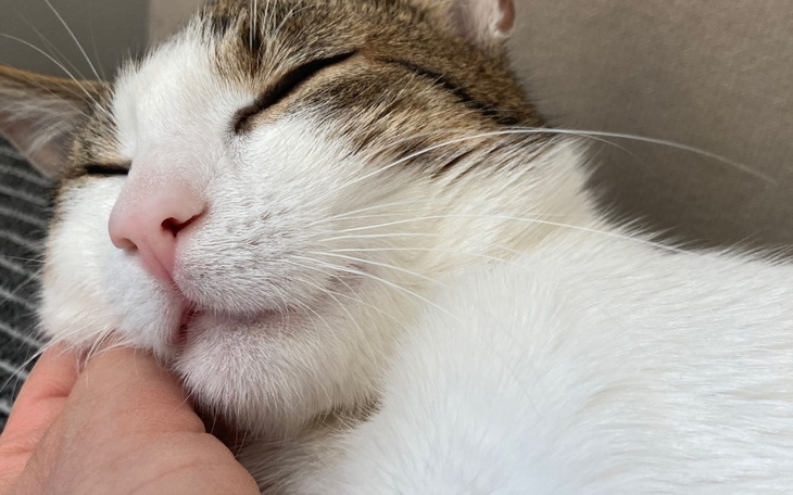 Zbiórka Dla PAKO - zdjęcie główne