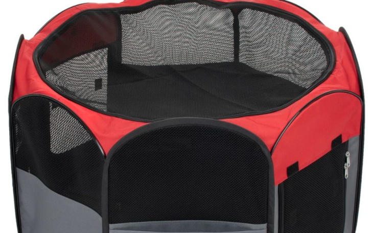 Zbiórka Uratuj małe kocie dzikuski - zdjęcie główne