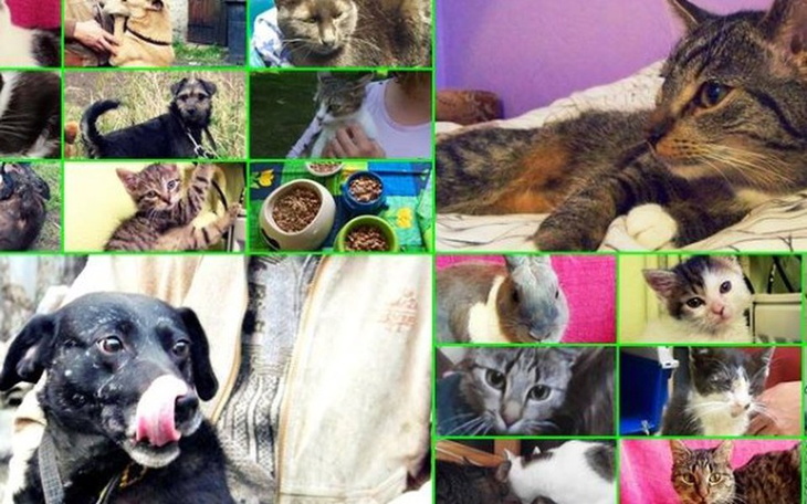 Zbiórka Urodzinowa zbiórka dla FMP! - zdjęcie główne