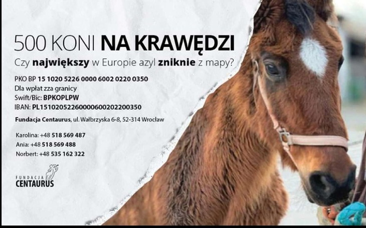 Zbiórka Pomoc Fundacji CENTAURUS - zdjęcie główne