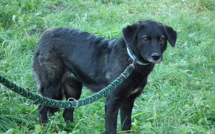 Zbiórka Wiosna mija ja nadal niczyja - zdjęcie główne