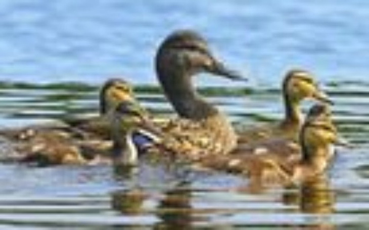 Zbiórka moje wakacje - zdjęcie główne