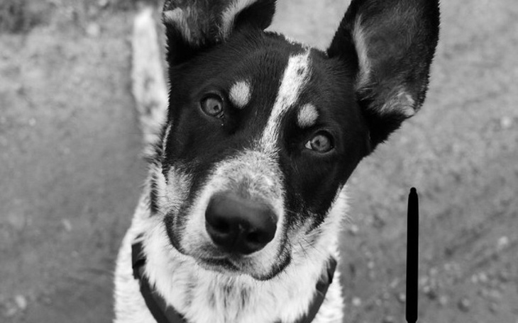 Zbiórka Bądź dobry! - zdjęcie główne