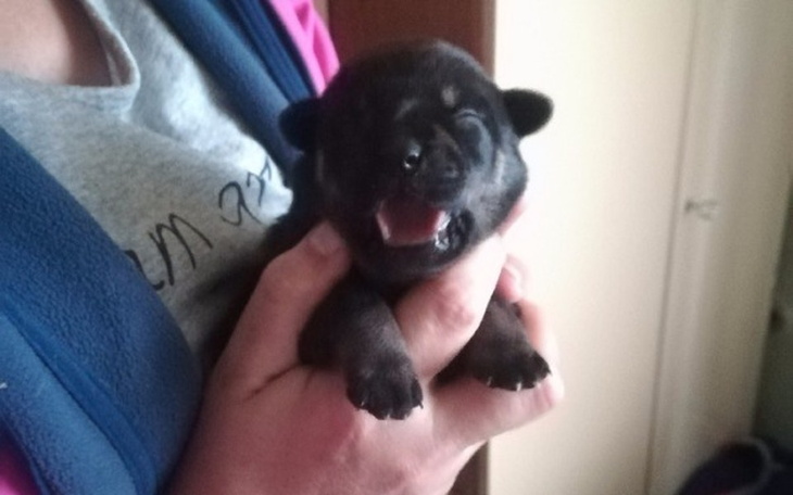 Zbiórka Zapakowane w worku na śmieci. - zdjęcie główne