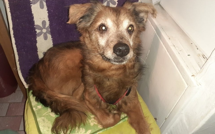 Zbiórka Feel - zdjęcie główne