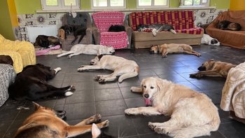 Zbiórka Ciepło to życie - miniaturka zdjęcia