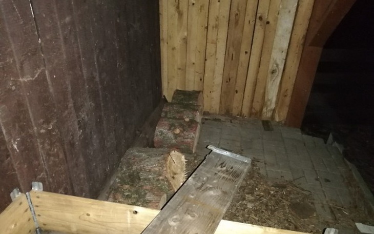 Zbiórka Zbieram na opał na zimę. - zdjęcie główne