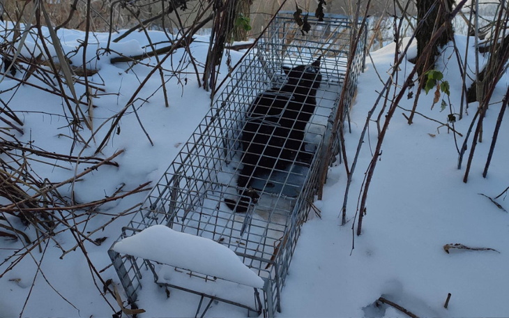 Zbiórka Śmiertelna lodowa pułapka - zdjęcie główne