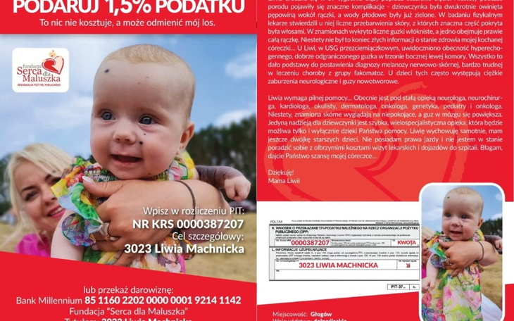 Zbiórka 1etap konsultacji w Izraelu Liwi - zdjęcie główne
