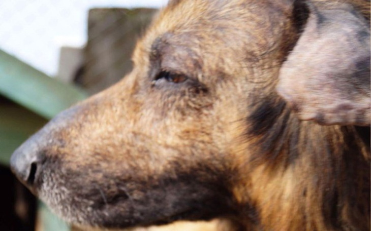 Zbiórka Drago hotelik - zdjęcie główne