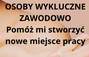 Zbiórka MIEJSCE PRACY dla WYKLUCZONYCH - miniaturka zdjęcia