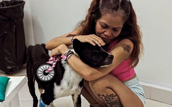 Zbiórka Leni - balijka o wielkim sercu - zdjęcie główne