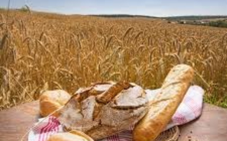 Chleb na stole, w tle złote pola pszenicy, symbol natury.