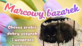 Zbiórka Marcowy Bazarek 2026 - miniaturka zdjęcia