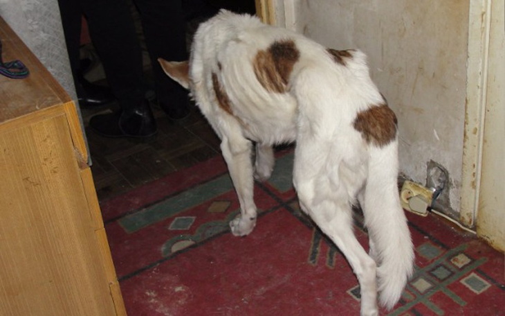 Zbiórka Pili %, badali jak głód zabija.. - zdjęcie główne