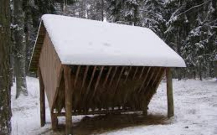 Zbiórka Karmniki  dla zwierząt w lasach - zdjęcie główne