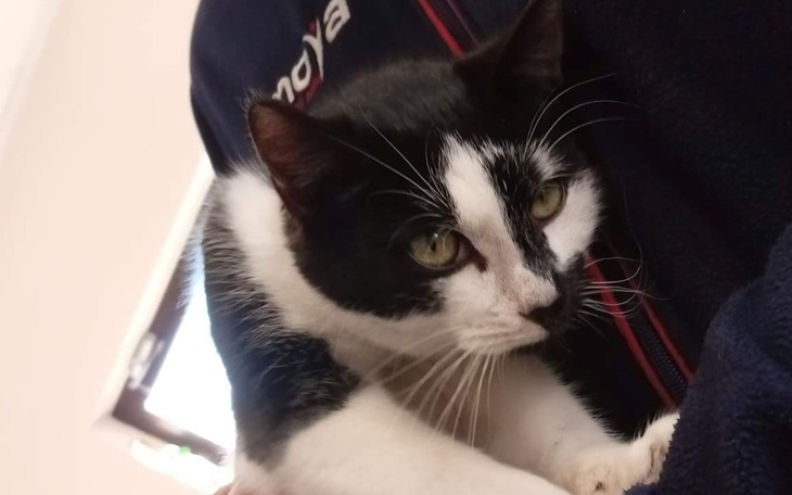 Zbiórka Przybłęda ze stacji paliw-pomoc - zdjęcie główne