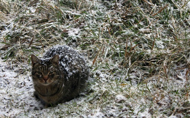 Zbiórka Ogrzać nie tylko serca... - zdjęcie główne