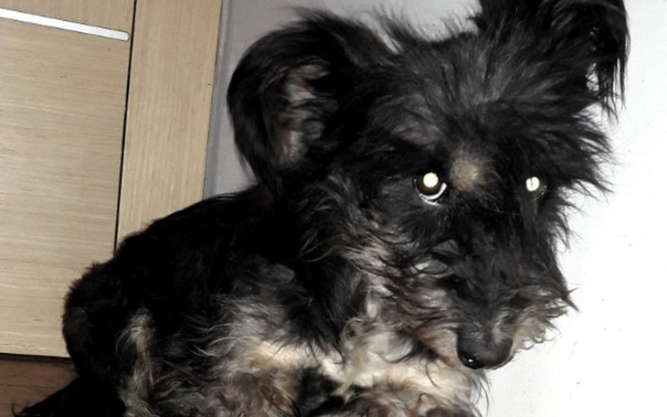 Zbiórka Porzucili mnie, bo byłam chora! - zdjęcie główne