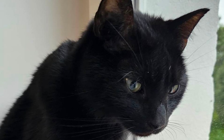 Zbiórka Walczymy o życie Frycka - zdjęcie główne