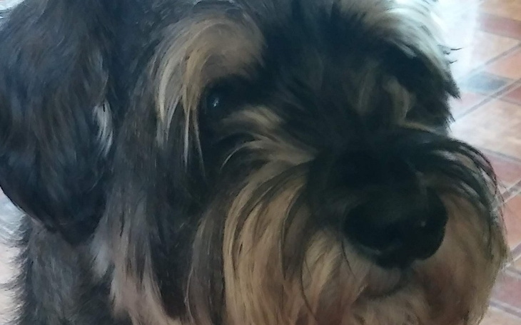 Zbiórka Pomoc na leczenie mojego synusia - zdjęcie główne