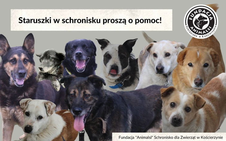 Zbiórka Na pomoc seniorom w schronisku. - zdjęcie główne