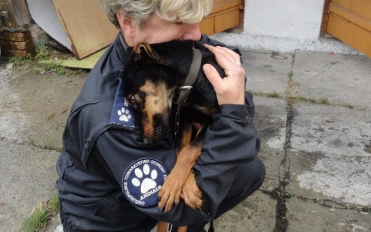 Zbiórka Insp. ds ochrony zwierząt Zamość - zdjęcie główne