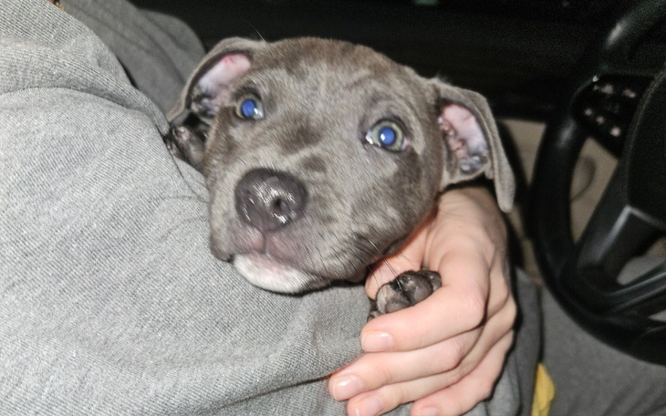 Zbiórka Rachunki... - zdjęcie główne