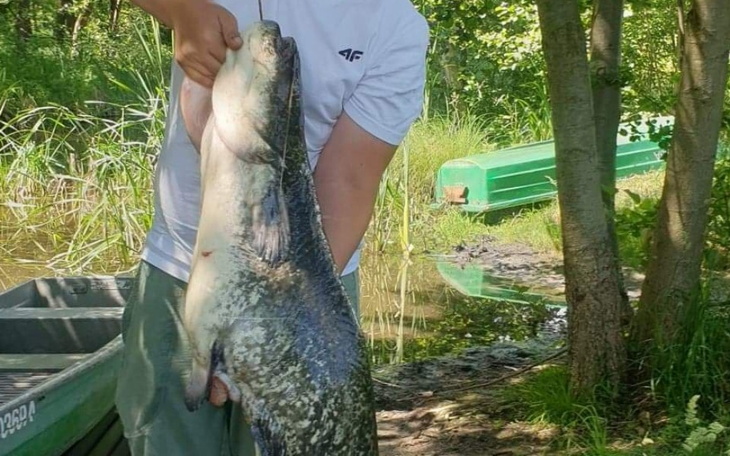 Zbiórka Na.lepszy.start. - zdjęcie główne