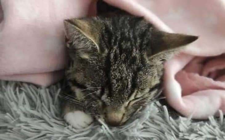 Zbiórka Ona musi żyć - zdjęcie główne