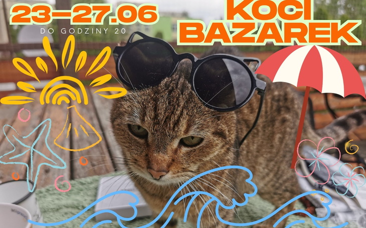 Kot w okularach przeciwsłonecznych, z kolorowym tłem.