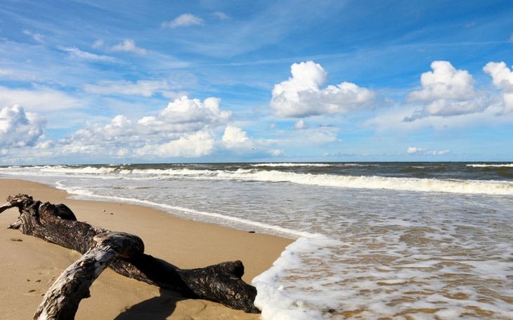 Zbiórka Oplaty miesieczne - zdjęcie główne