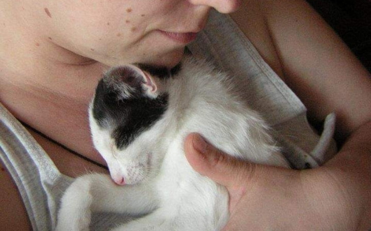 Zbiórka Moje urodziny,kasa dla zwierząt - zdjęcie główne