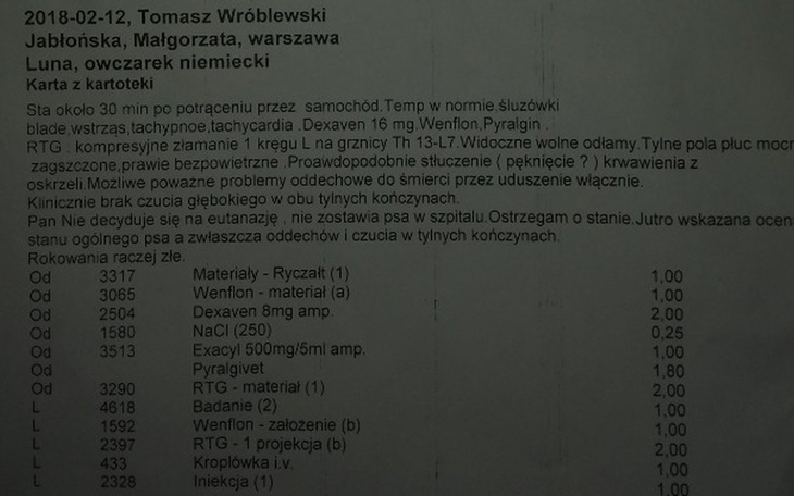 Zbiórka Luna, owczarek niemiecki - zdjęcie główne