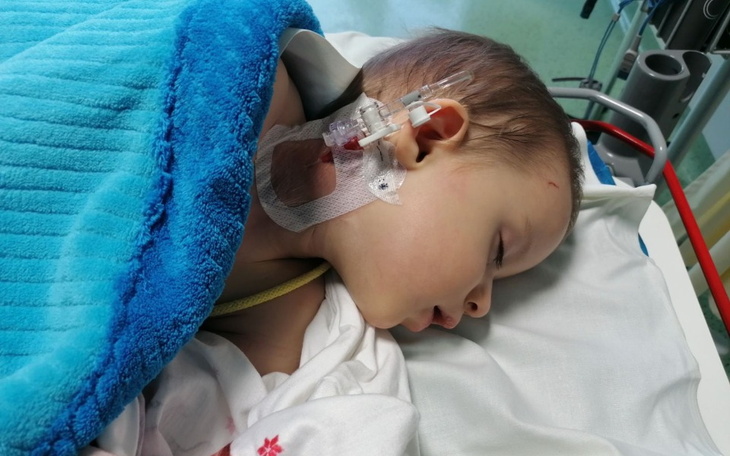 Zbiórka Treatment in the United States - zdjęcie główne