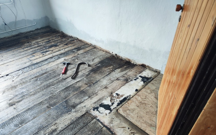 Zbiórka SOS dla Pani Ingi - zdjęcie główne