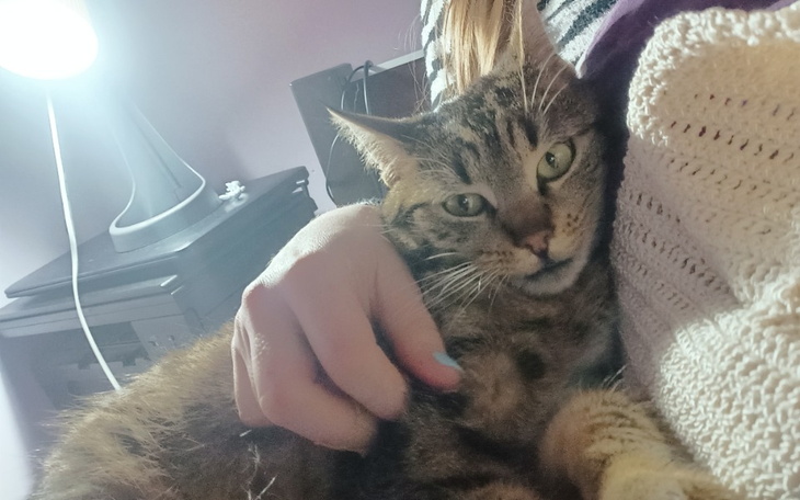 Zbiórka FIV - Uciec przed śmiercią - zdjęcie główne