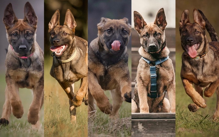 Zbiórka Atomówki u Weta - czyli cdn. - zdjęcie główne