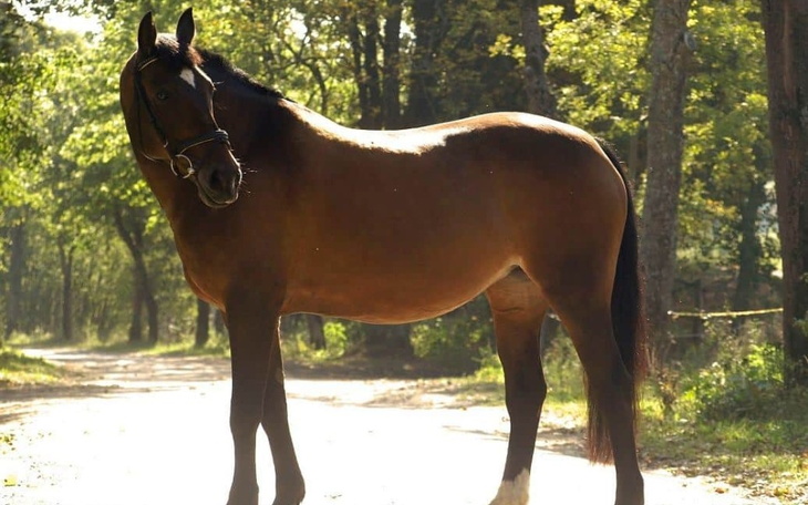 Zbiórka Gdyby Fany nie skakała... - zdjęcie główne