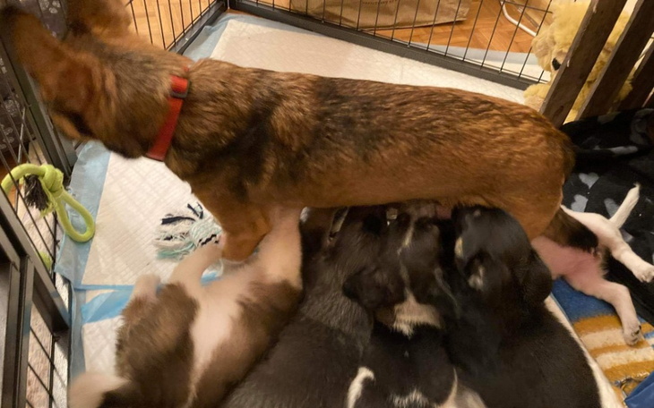 Zbiórka Mama z dziećmi i ich przyszłość. - zdjęcie główne