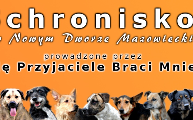 Zbiórka Pomoc dla psów wschronisku - zdjęcie główne