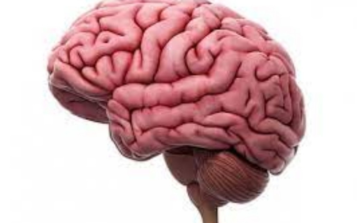 Zbiórka dla klasy na mózgi - zdjęcie główne