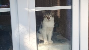 Zbiórka Pomocy w ogrzewaniu - miniaturka zdjęcia